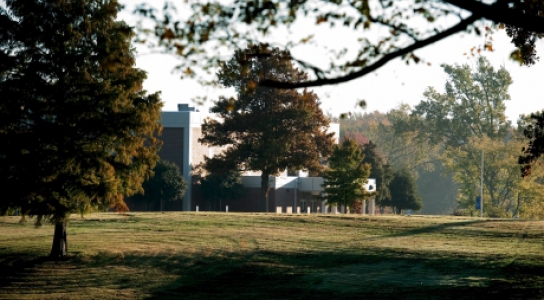 Image of campus landscape.