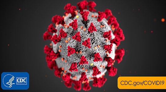 Coronavirus image