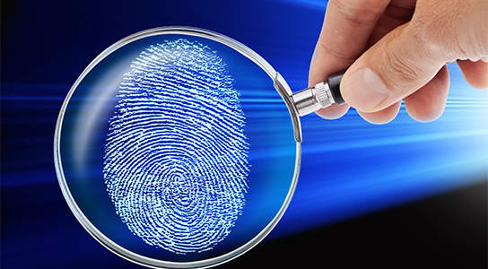 fingerprint under magnifying glass